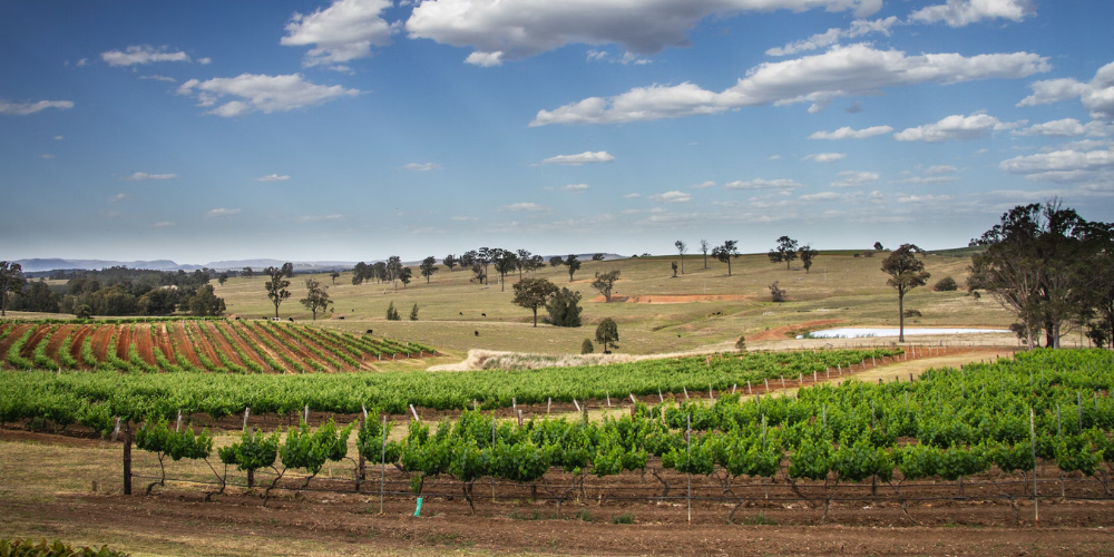 things to do in Hunter Valley