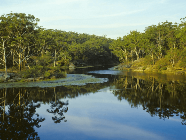 Lake Parramatta Reserve