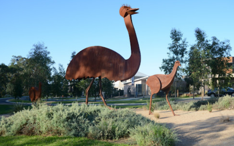 big emus garden strathfieldsaye